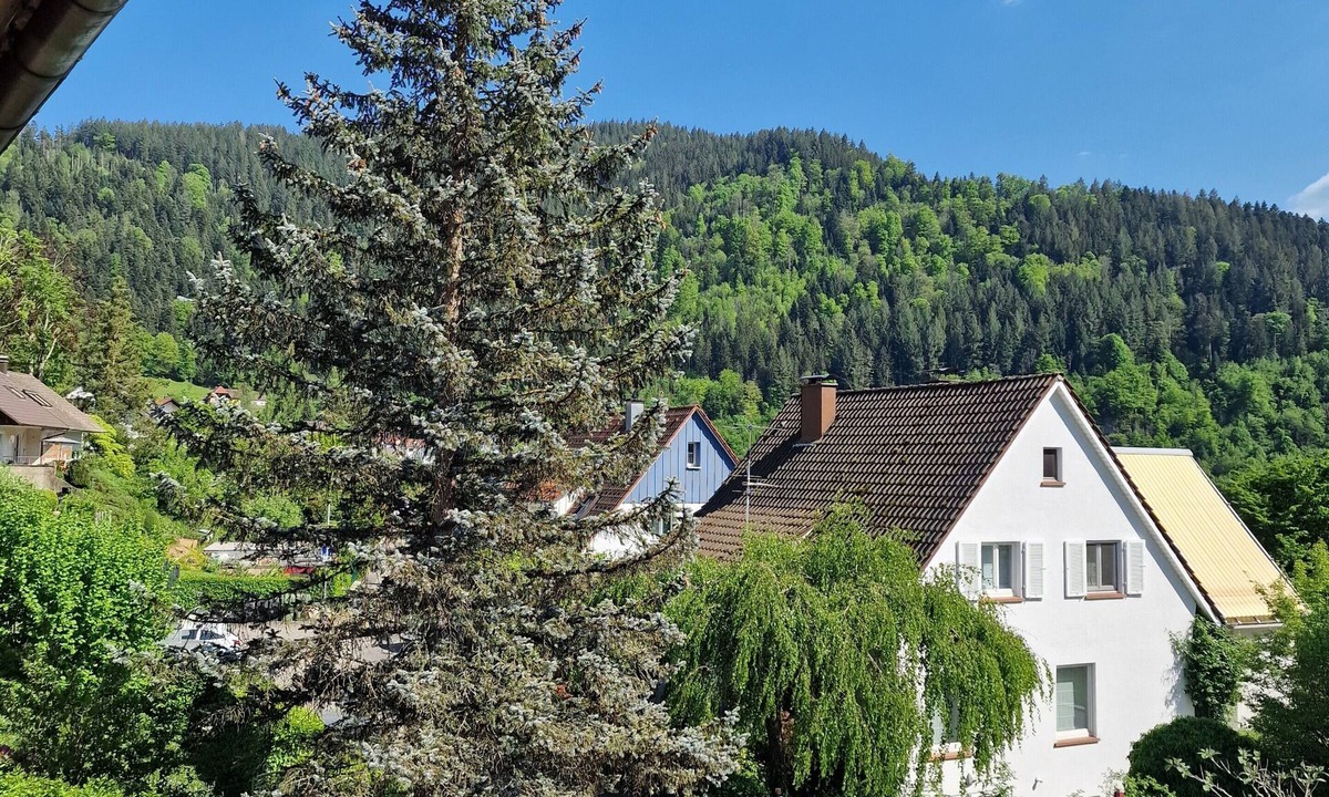 Wolfach Apartment | Apartment Rebberg 1 with Balcony and Wi-Fi