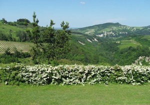 Cozy Holiday Home in Modigliana Italy with Garden in Modigliana