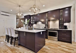 DL | French inspired 3bedroom Mile End Plateau in Le Plateau-Mont-Royal