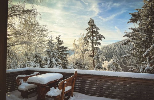 Frankenhain Cottage | Cozy forest loft near Oberhof