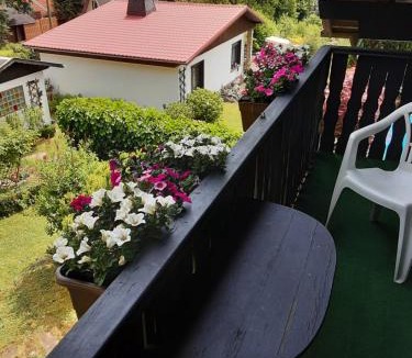 Ruhla Apartment | FW Doris