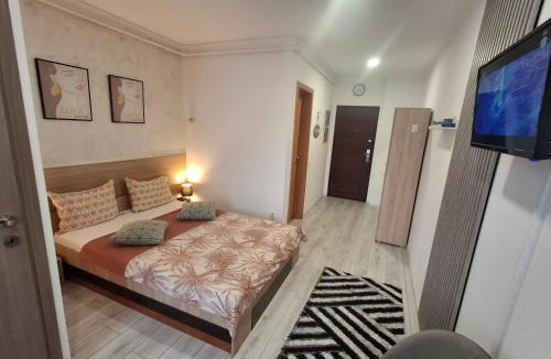 Emanoil Gojdu Apartment | Studio Elvetia