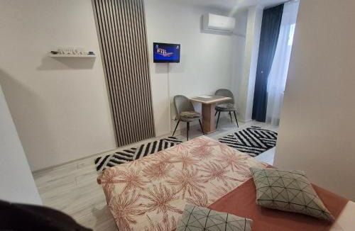 Emanoil Gojdu Apartment | Studio Elvetia