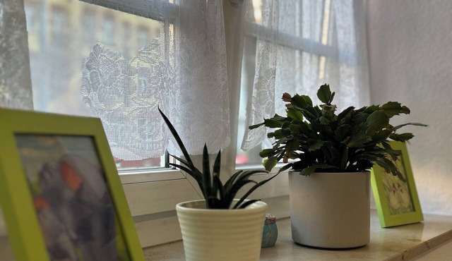 10 min walk to the center, 47m2,Netflix& all amenities! in Erfurt
