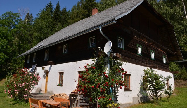 Alpine hut, secluded location, family vacation, party campfire, fishing view of the valley in Gloednitz