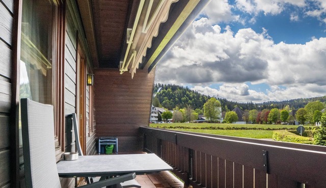 Apartment 'Wohnung 2 Mit Balkon Und Aussicht' with Balcony and Wi-Fi in Hinterzarten