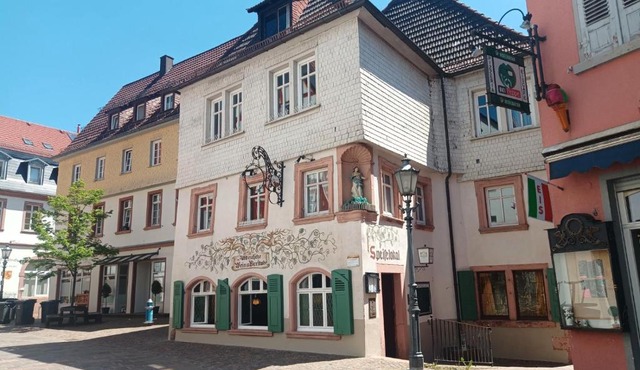 Appartement Schlossberg, Gasthaus Hirsch in Hirschhorn