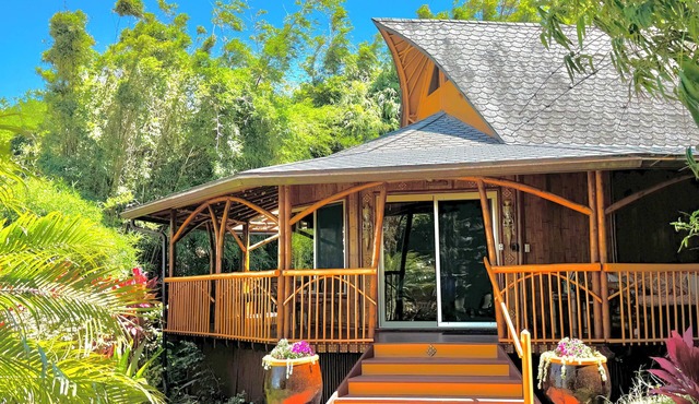 Bamboo Bliss: Ocean Views & Waterfalls Await! in Maui County