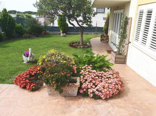 Bed and Breakfast Angolo Fiorito in Civitavecchia