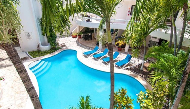 Blue Palms Suites, Pool Onsite, Steps to the Beach & 5th Ave in Playa del Carmen