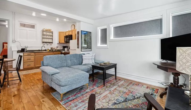 Cozy 1BDR APT in Vibrant Downtown Geneva in Geneva