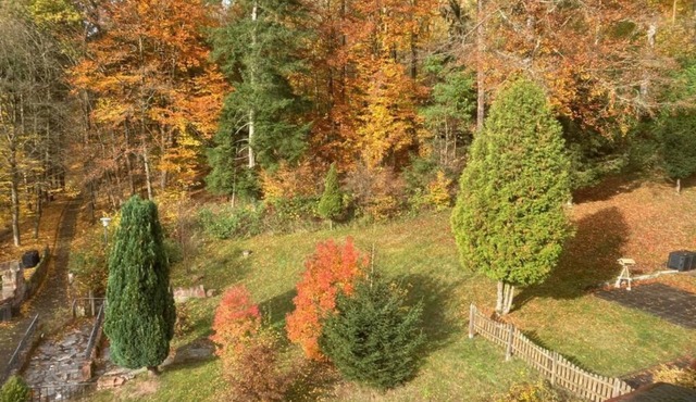 Immensee II Apartment with lake view and located at the forest edge in Ronshausen