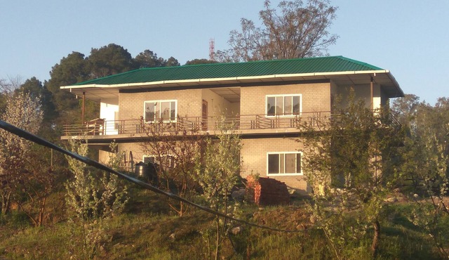 It is surrounded by lush green mountains, with fruit garden & vegetable fields. in Kangra