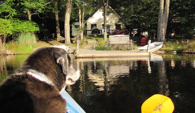 Lakefront Cabin w/Private Beach, Dock, AC, 4 Boats, Sauna in Tobyhanna