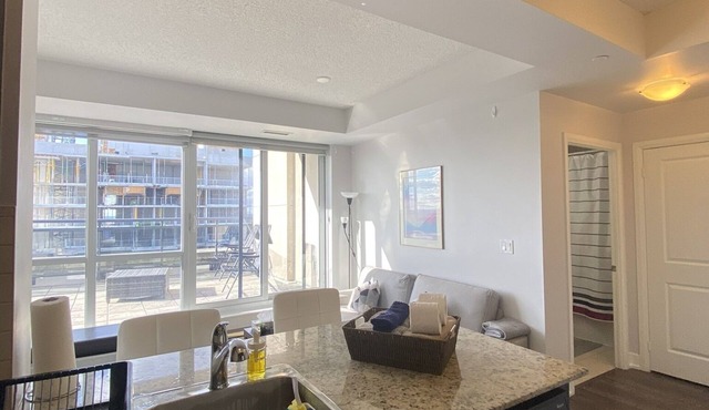 luxurious condo in Toronto