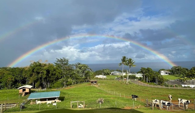 Magic Skies Ocean View Turtle Room in Hilo