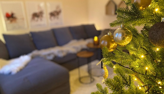 Magical and Cosy apartment with tree views from every window! in Rovaniemi