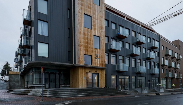 Modern apartment located in central Reykjavik. - Studio 2 in Reykjavík