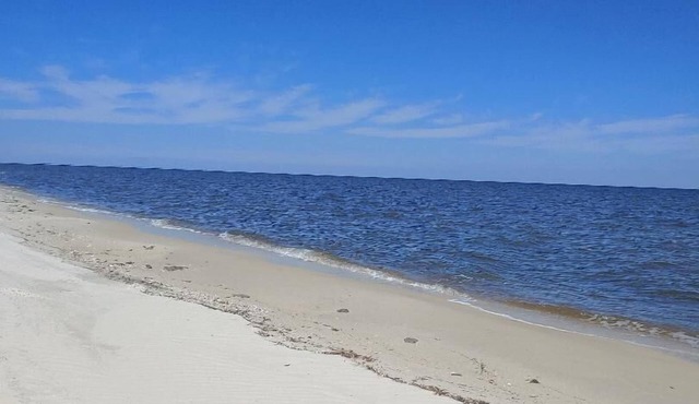 Secluded Florida Beach Bungalow-LAST MINUTE SPECIAL 20% OFF AUG/SEPT in Panacea