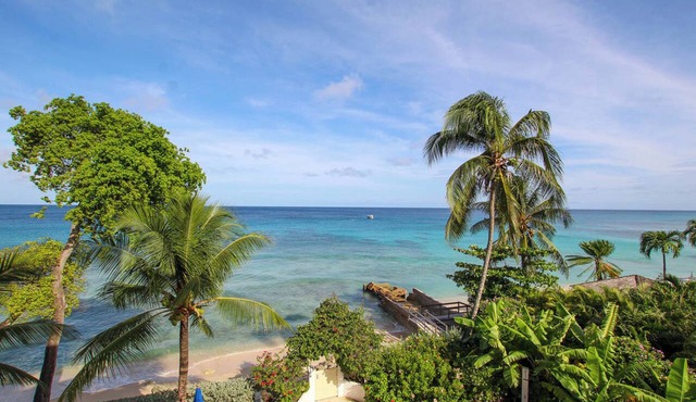 Stunning Beachfront Condo on Payne's Bay in Paynes Bay