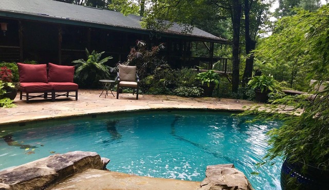 Summer Special - Cozy, Private Cabin, Mountain View, Pet Friendly in Hendersonville