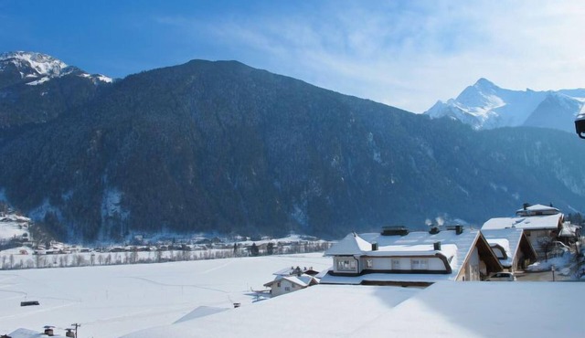 Tamerl by Interhome in Mayrhofen