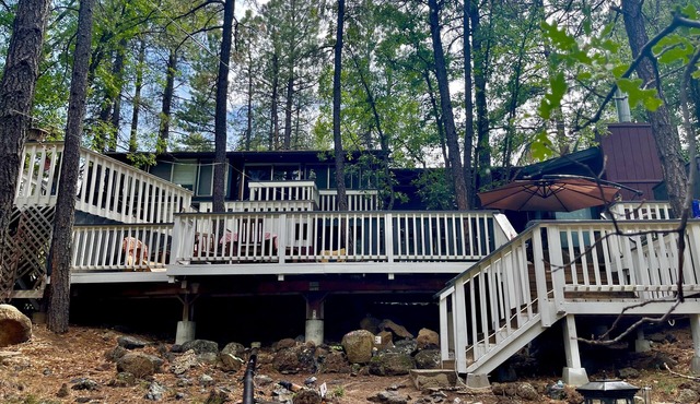 The Unique Squirrels Nest nestled in the Woods! We are pet friendly. in Munds Park