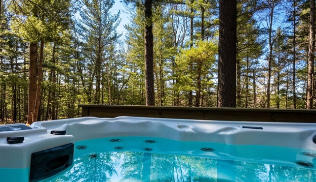 UpNorthGetaway~HotTub Trails Lakes Nature Ski Snowmobile Nature Vacationland in Gaylord