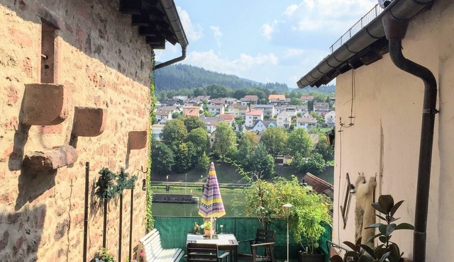 W4.Neckar view, nature, old town in Hirschhorn