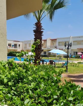 Savannah Beach Sidi 