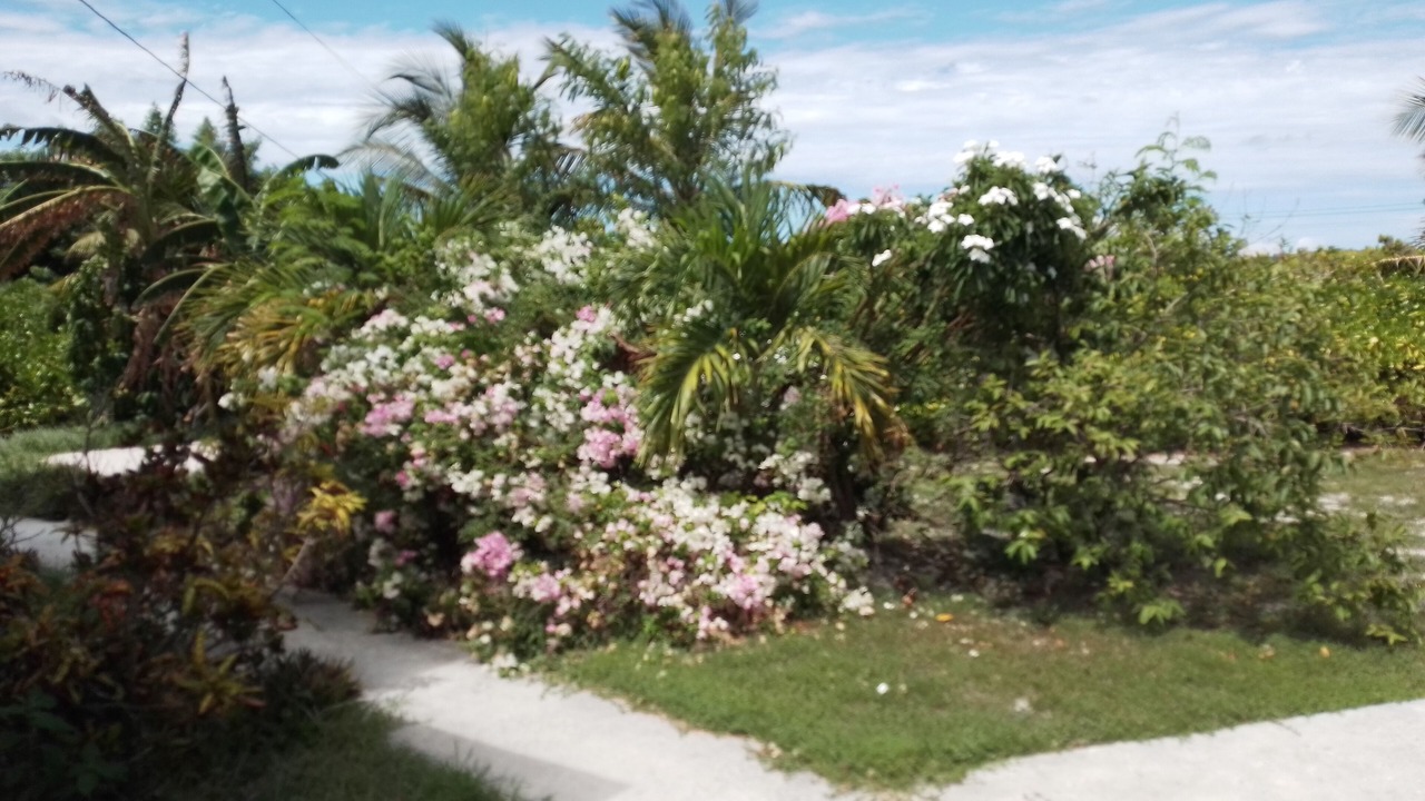 Photo of Outdoor in Cockburn Town