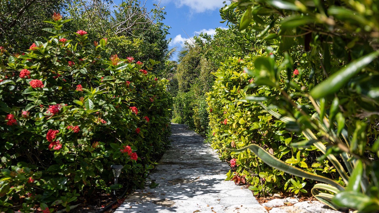 Photo of Outdoor in Providenciales