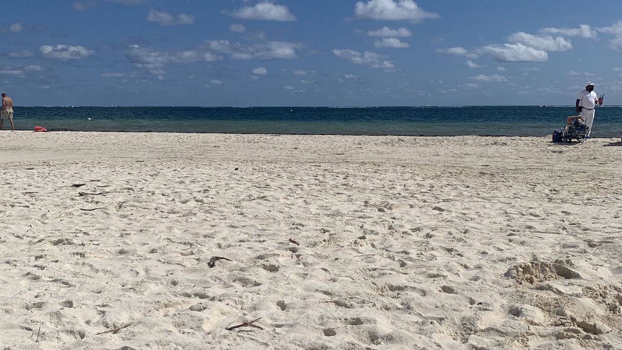 Photo of Others in Puerto Morelos