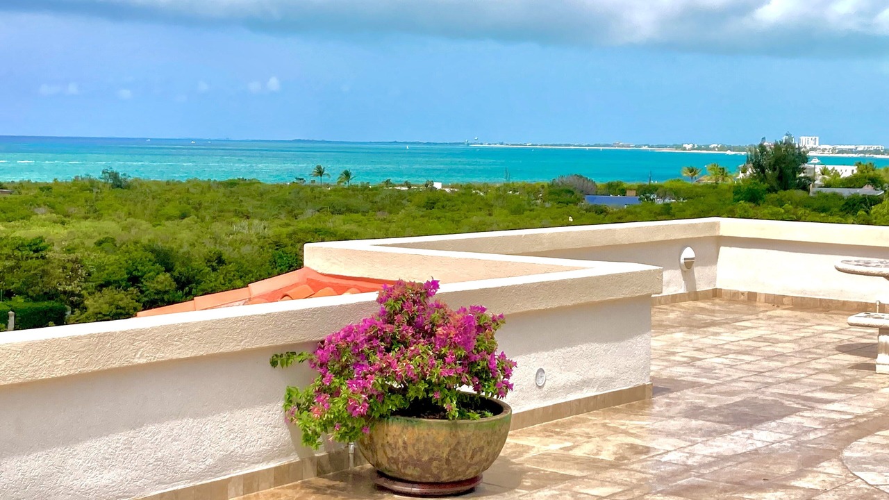 Photo of Outdoor in The Bight