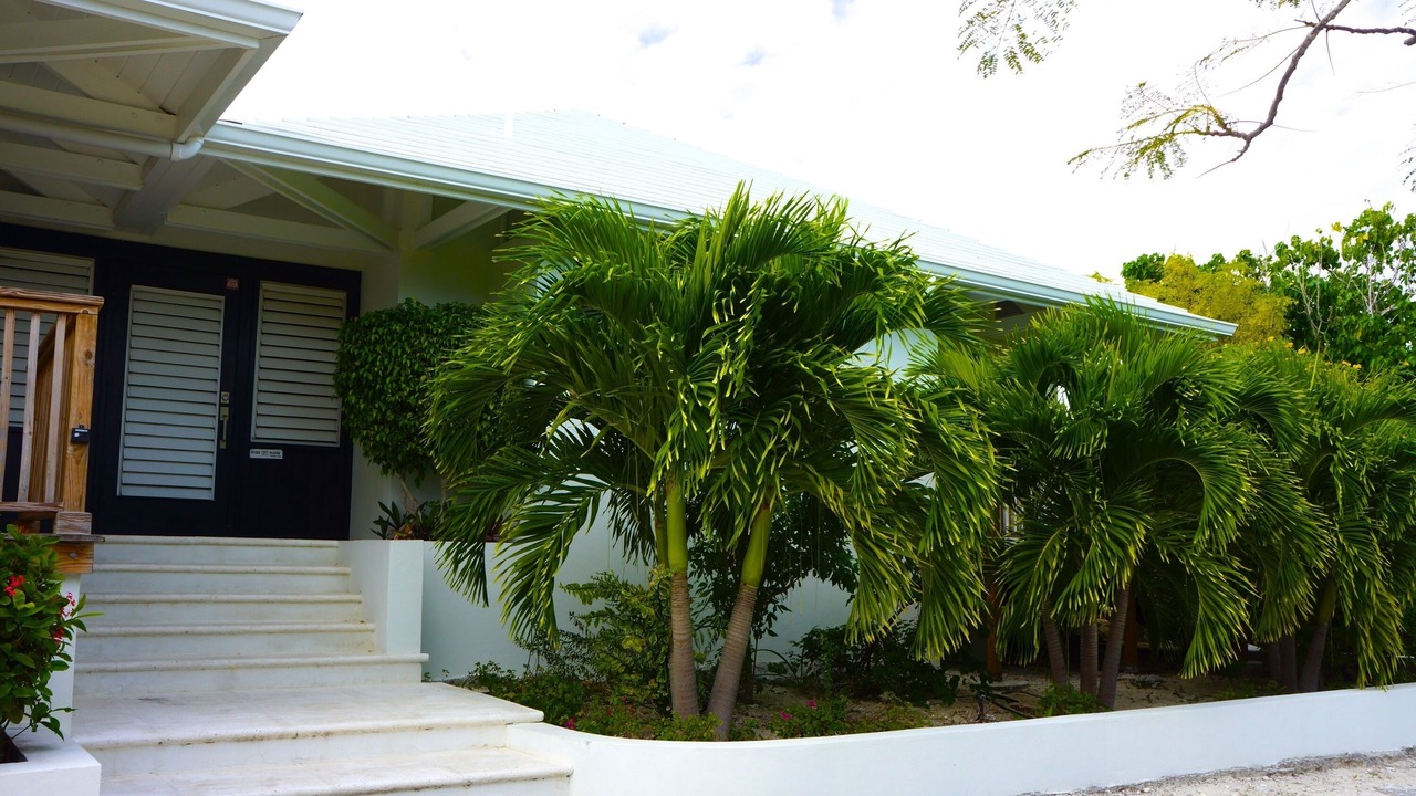 Photo of Outdoor in Leeward Settlement