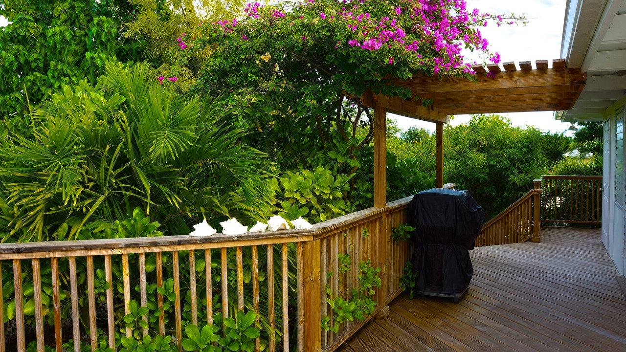 Photo of Patio Balcony in Leeward Settlement