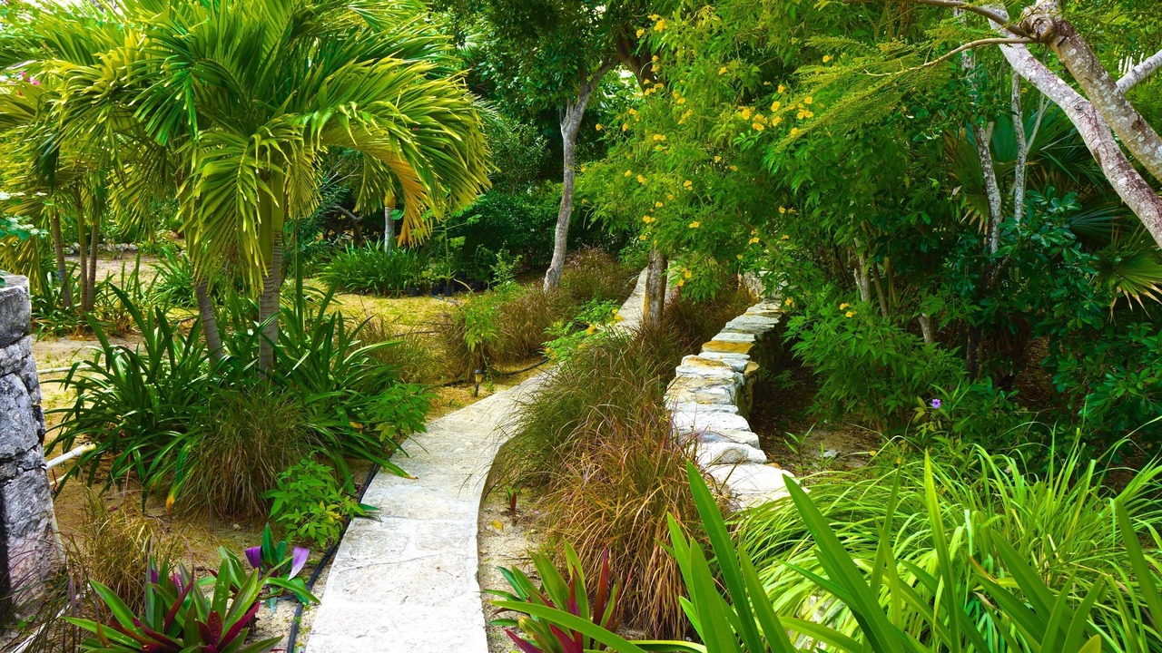 Photo of Outdoor in Leeward Settlement