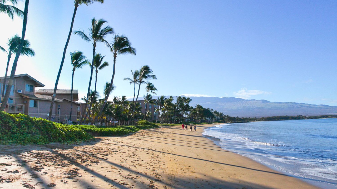 Photo of Others in Kihei
