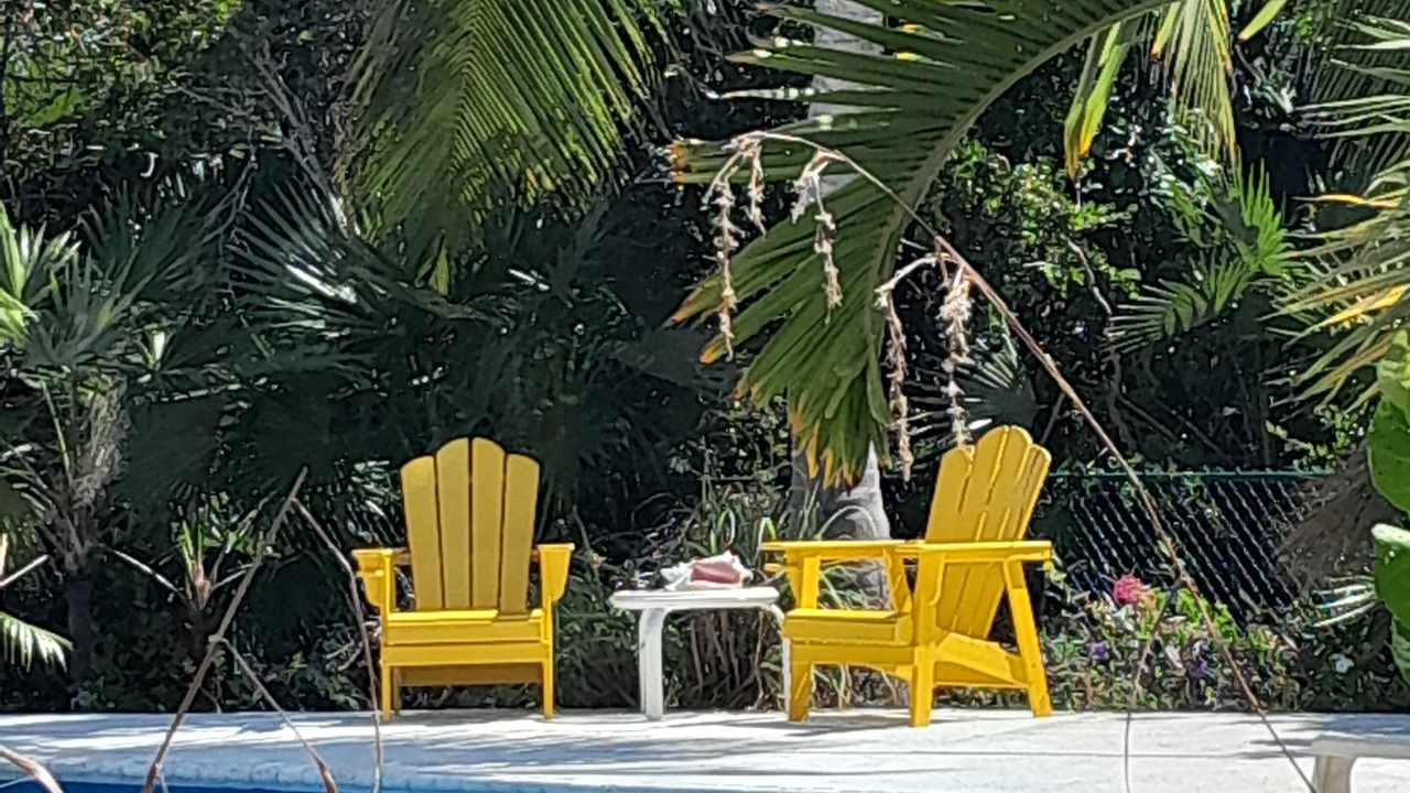 Photo of Others in Leeward Settlement