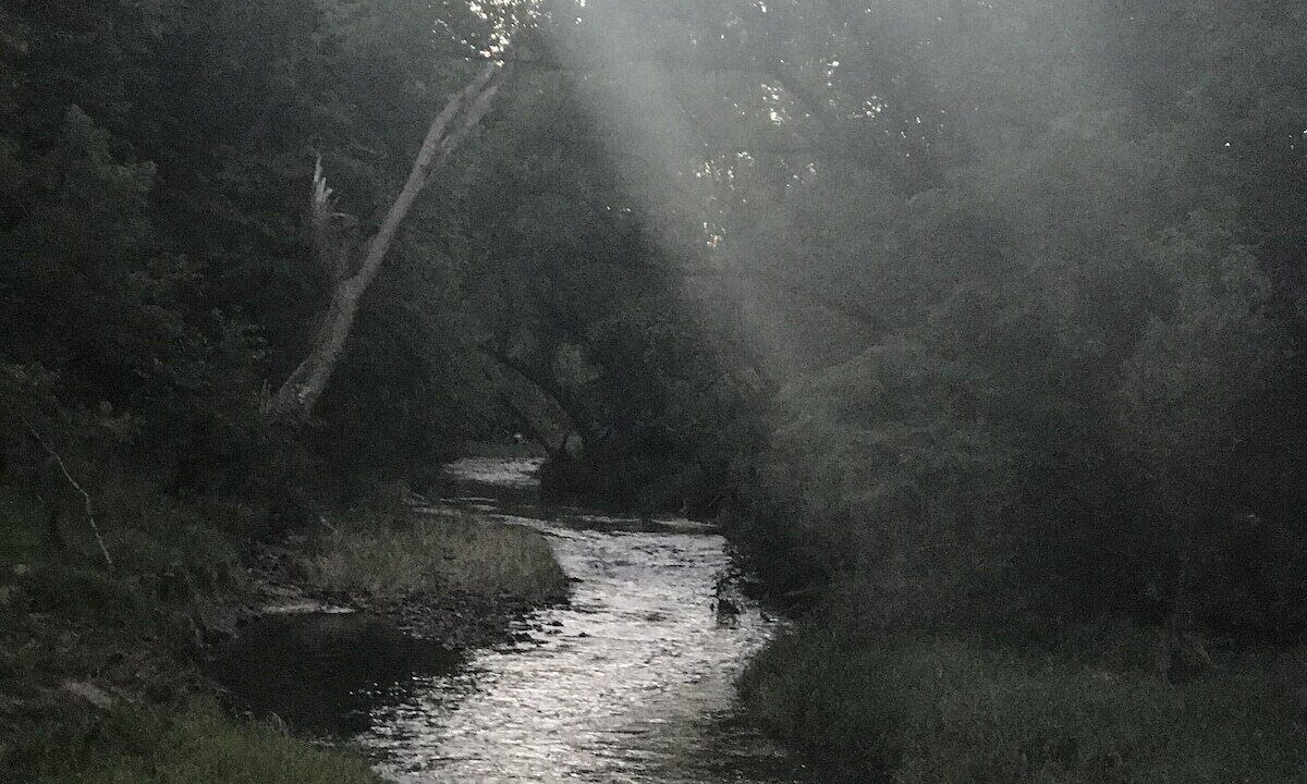Photo of Others in Viroqua