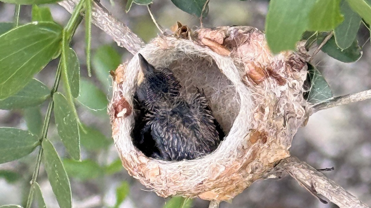 Photo of Others in Providenciales