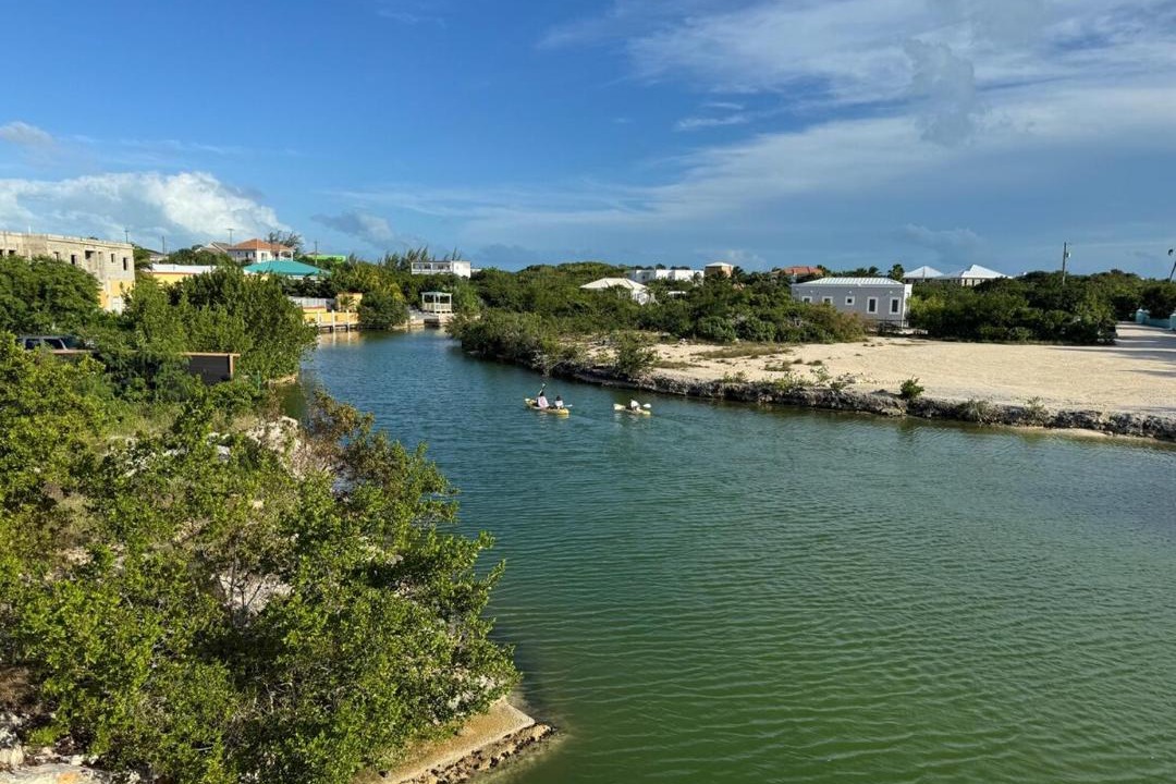 Photo of Others in Discovery Bay