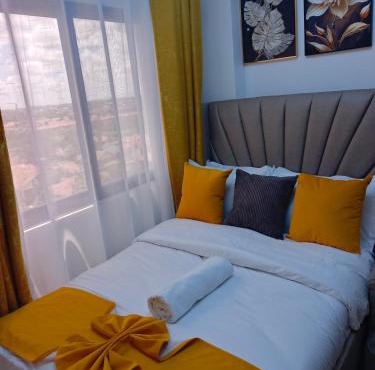 yNest Studio in Syokimau